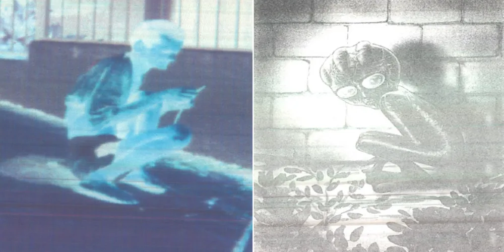 Episódio não passou de uma história fictícia, quando três jovens relataram ter visto uma suposta criatura agachada próxima a um muro, em um bairro da cidade