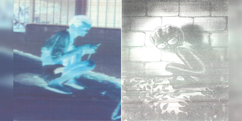 Episódio não passou de uma história fictícia, quando três jovens relataram ter visto uma suposta criatura agachada próxima a um muro, em um bairro da cidade