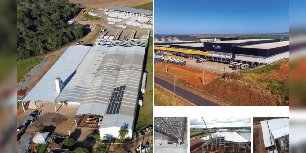 A Saviski tem em Ponta Grossa o seu maior mercado