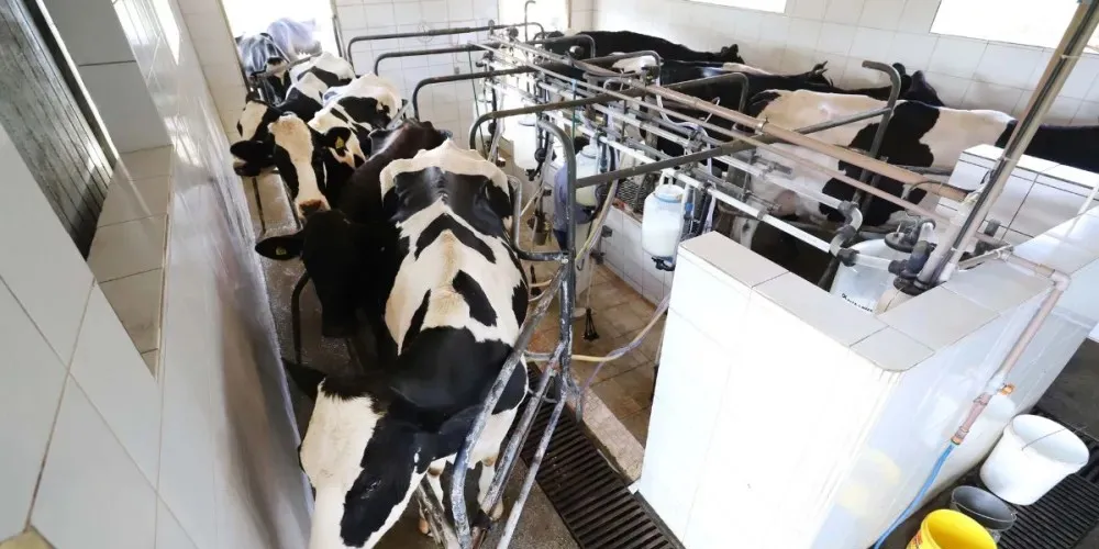 Restrição não se aplica aos produtos importados já prontos para o varejo