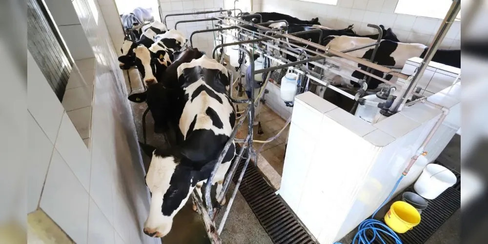 Restrição não se aplica aos produtos importados já prontos para o varejo