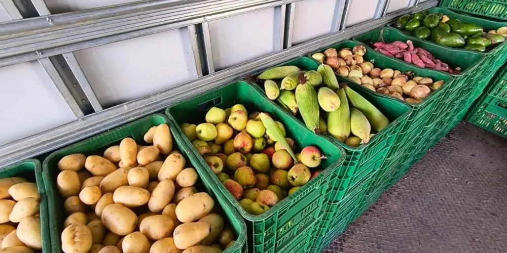 O Feira Verde é uma ação da Secretaria de Agricultura, Pecuária e Abastecimento de Ponta Grossa