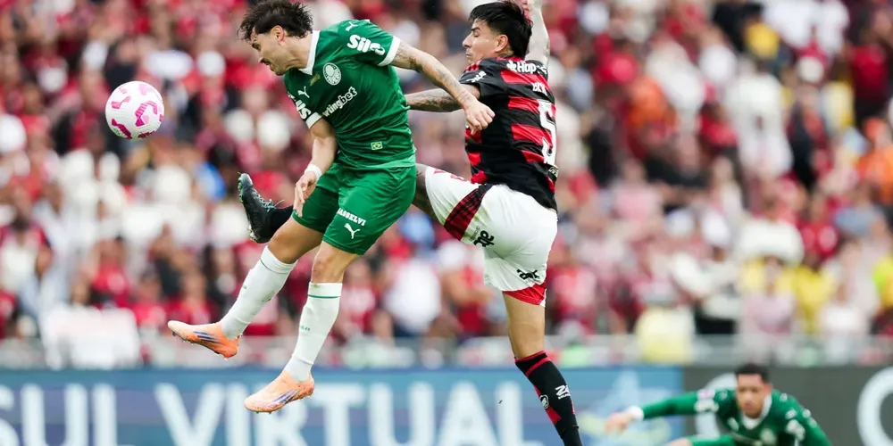 Flamengo e Palmeiras em partida pelo Brasileirão
