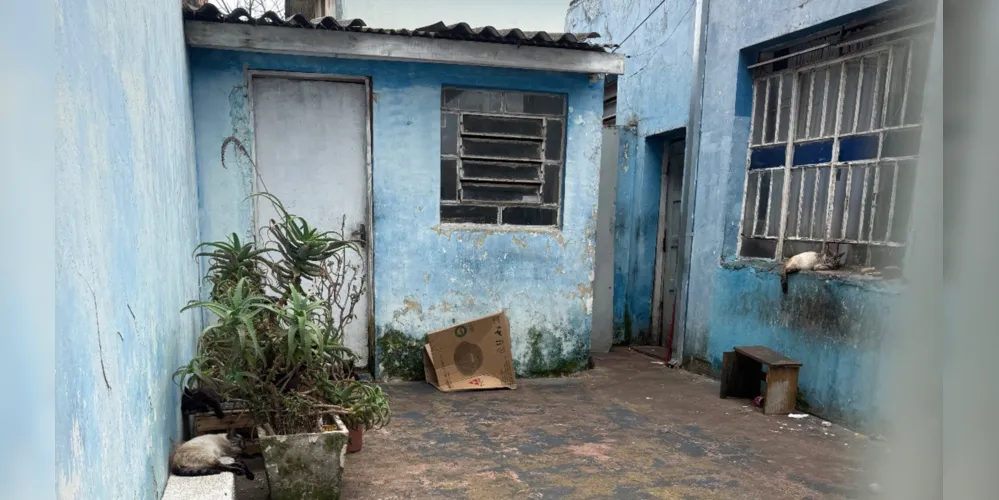Casa que acumula cheiro forte e lixo, segundo moradores