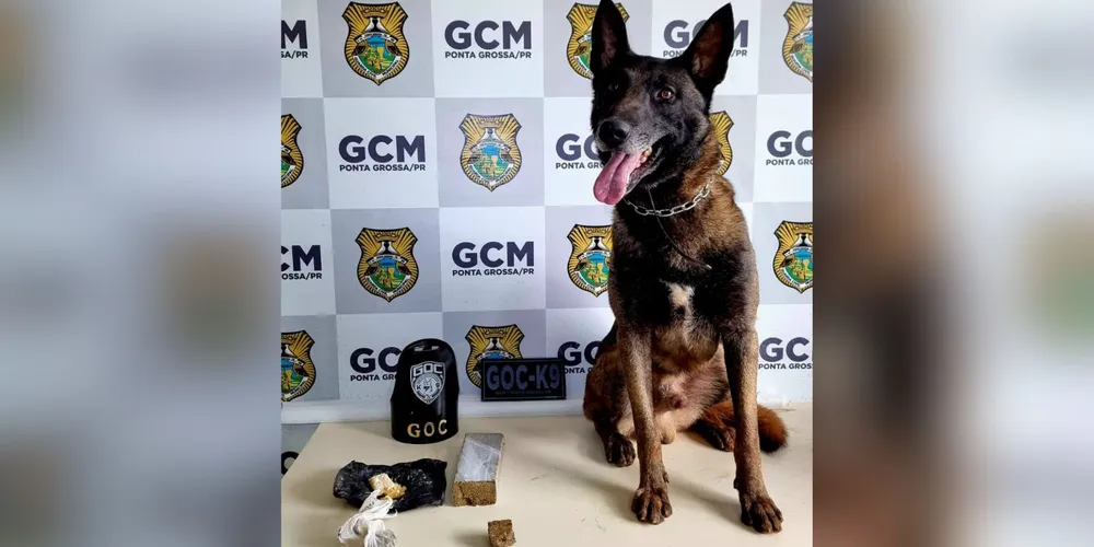 Os materiais apreendidos foram encaminhados à 13ª Subdivisão Policial