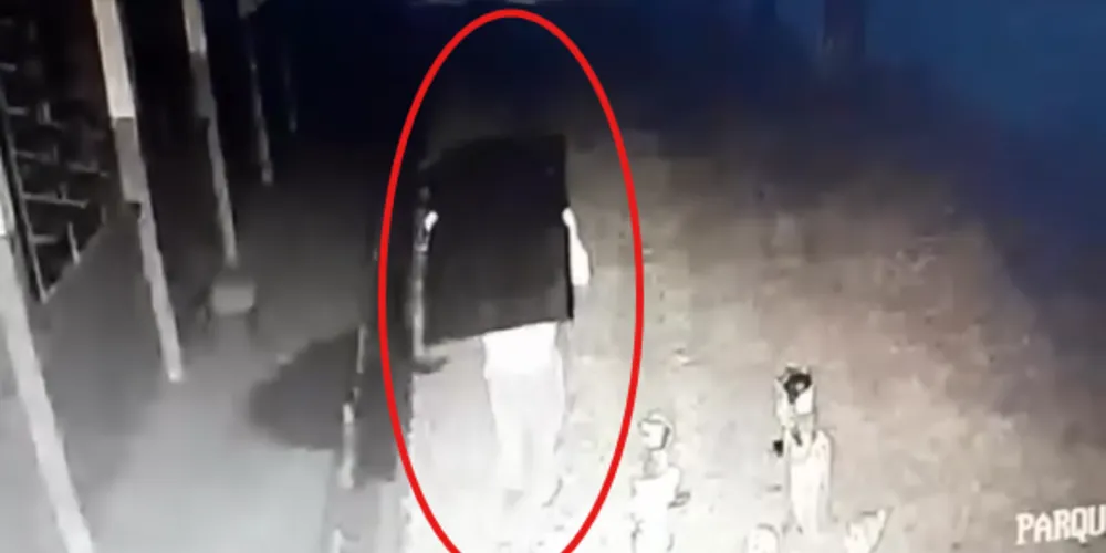 Câmeras de segurança registraram toda a ação