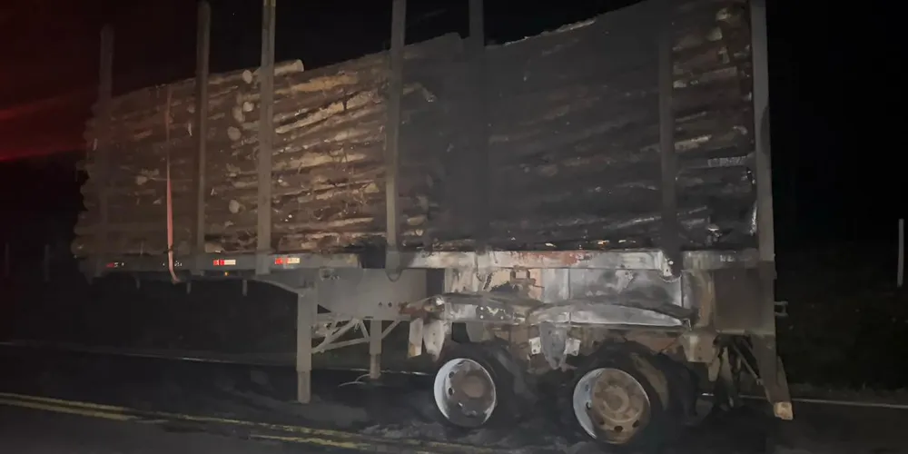 Parte do carregamento de toras ficou danificado