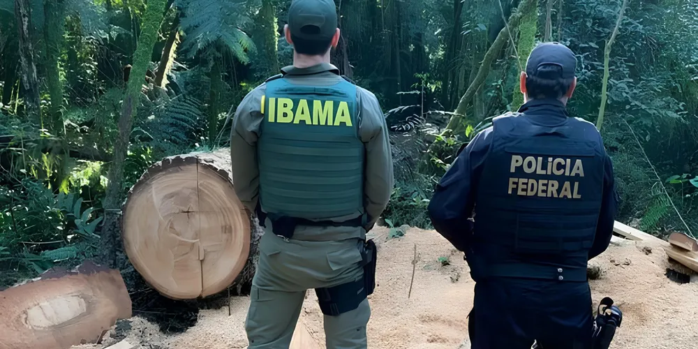 PF atua em conjunto com o MPF e Ibama no combate ao desmatamento