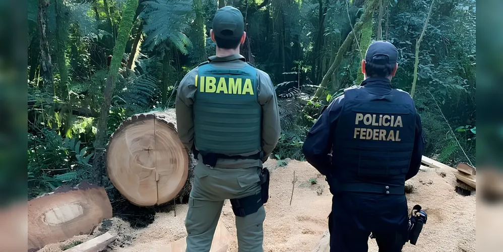 PF atua em conjunto com o MPF e Ibama no combate ao desmatamento