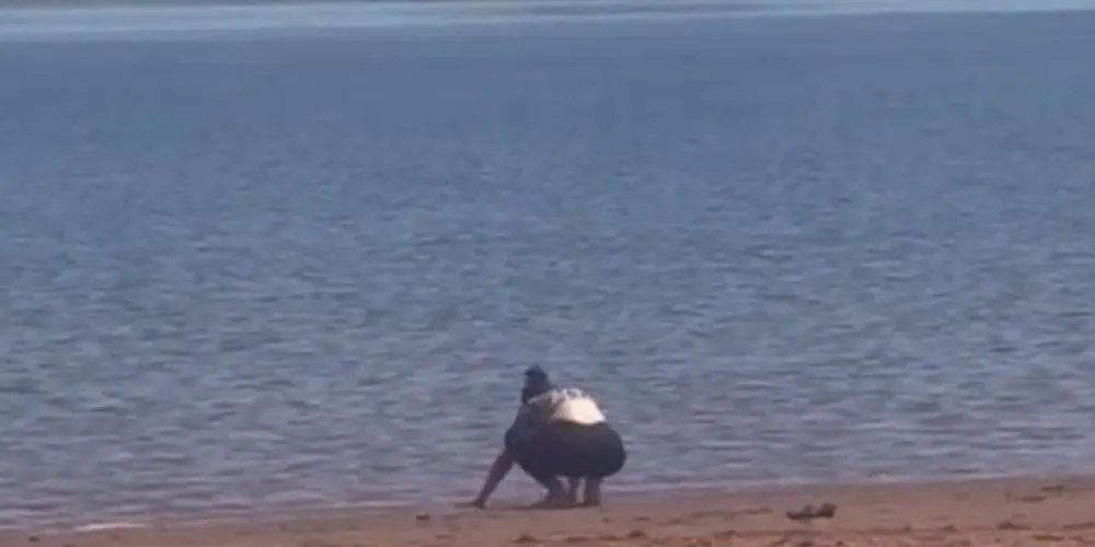 Sobrinha do condutor da lancha fez orações