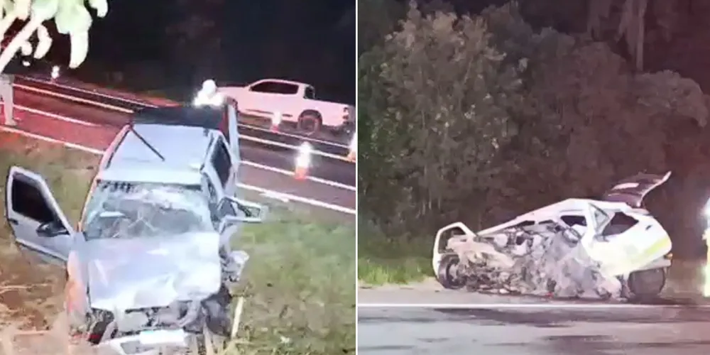 A rodovia não precisou ser interditada para o atendimento da ocorrência