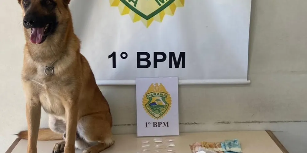 Operação foi realizada pelo Pelotão de Choque/K9 da Polícia Militar