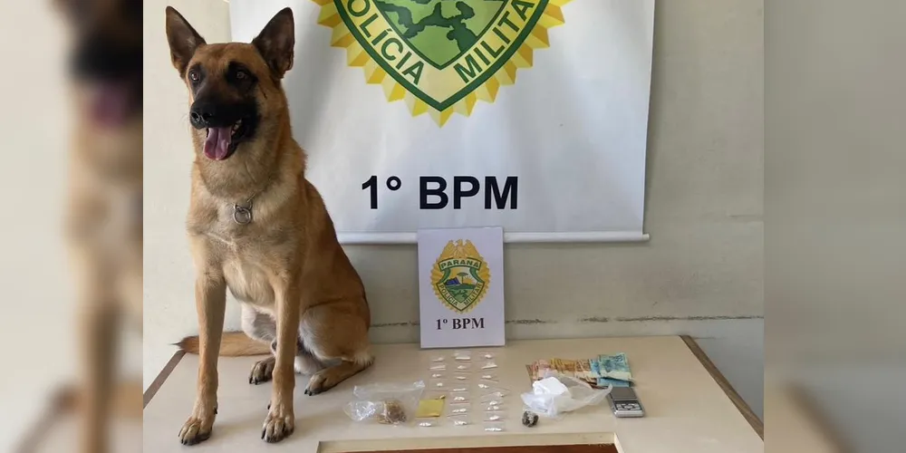 Operação foi realizada pelo Pelotão de Choque/K9 da Polícia Militar