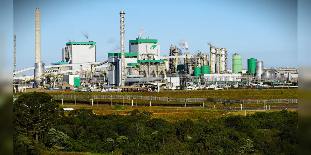 Indústria é a maior produtora e exportadora de papéis para embalagens do Brasil