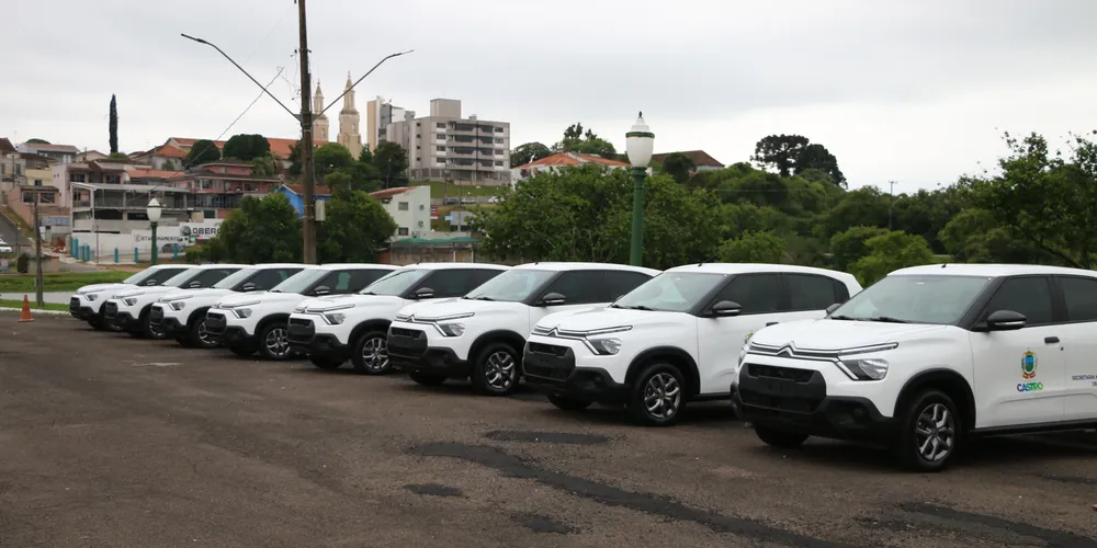 Os novos veículos já foram entregues com a plotagem que identifica os veículos oficiais