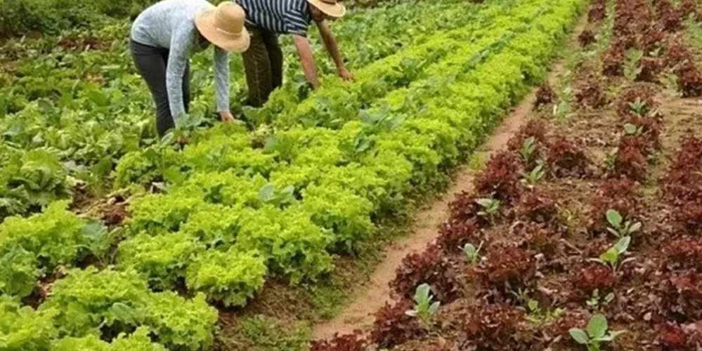 Congresso Nacional aprovou o Orçamento da União para 2026, definindo despesas totais de R$ 6,5 trilhões