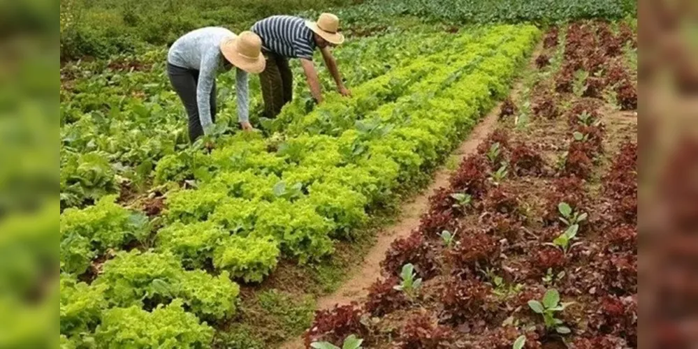Congresso Nacional aprovou o Orçamento da União para 2026, definindo despesas totais de R$ 6,5 trilhões