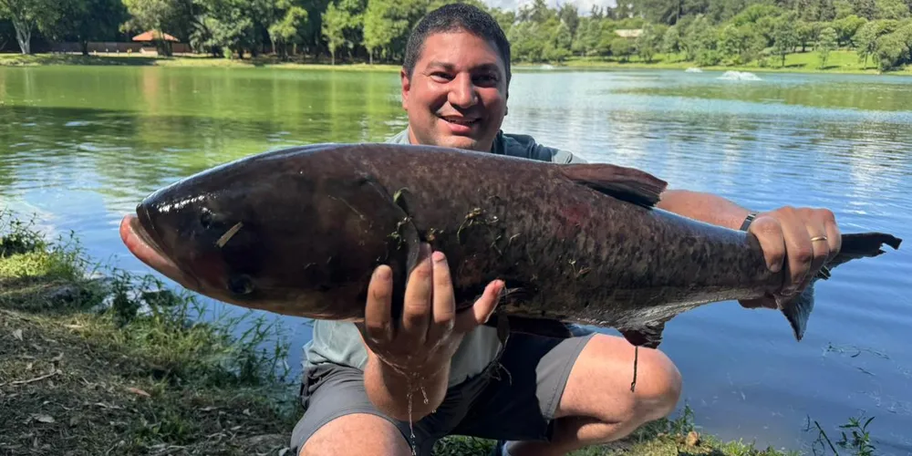Os peixes pescados serão avaliados por tamanho e peso