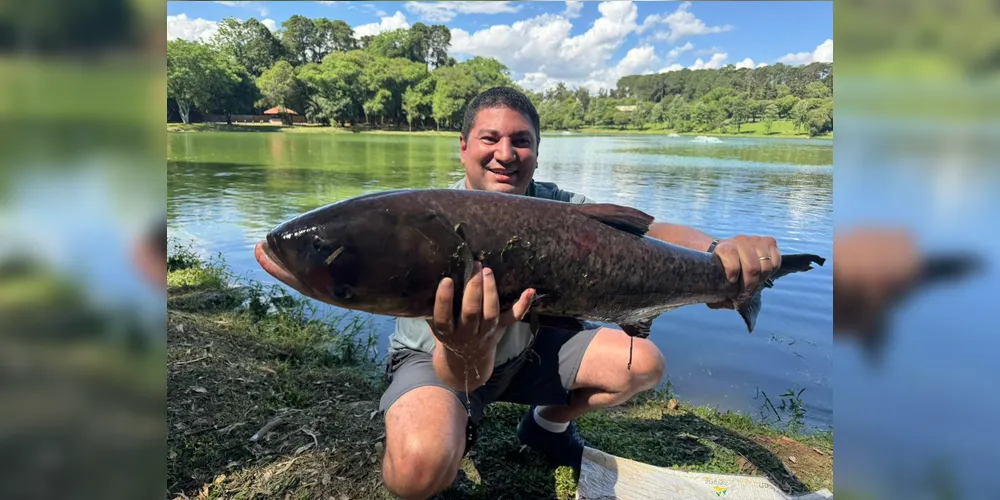 Os peixes pescados serão avaliados por tamanho e peso
