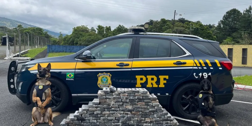 O homem foi detido e, junto com a cocaína e a caminhonete, encaminhado à Polícia Federal