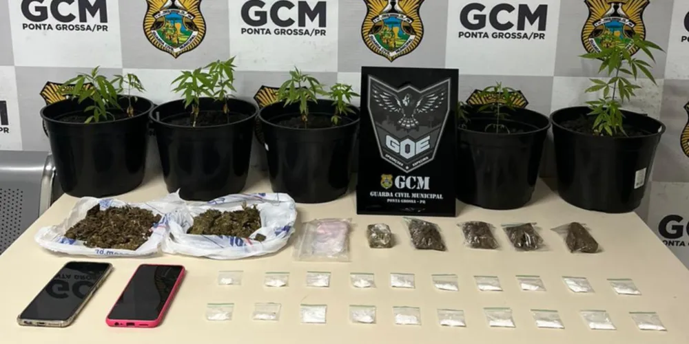 Material apreendido pela Guarda Civil Municipal e Polícia Civil do Paraná