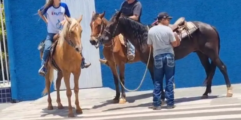 Cena chamou a atenção de quem passava pelo local