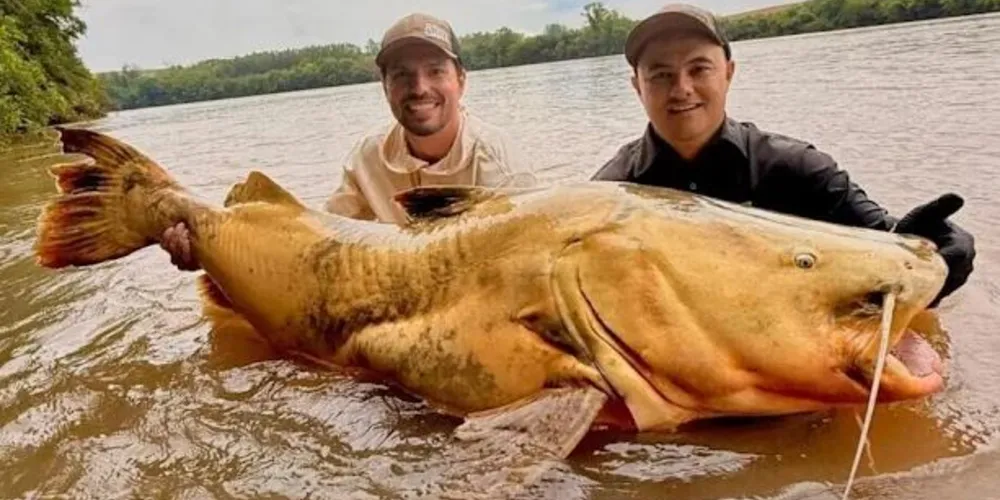 Marca pode colocar o Rio Ivaí no mapa da pesca esportiva nacional