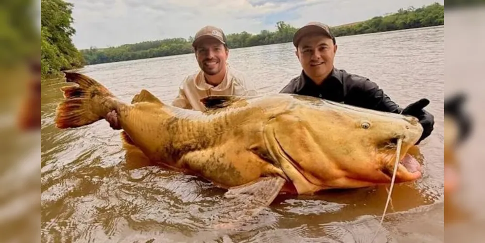 Marca pode colocar o Rio Ivaí no mapa da pesca esportiva nacional