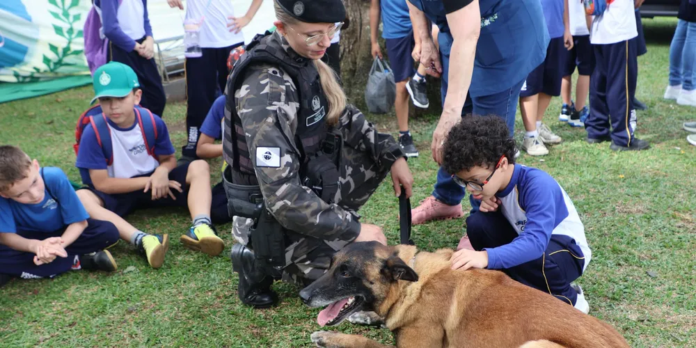 Evento conta com interações com o Canil (K9)