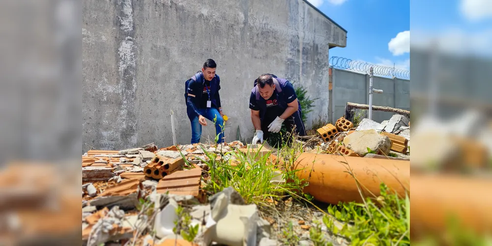 Fiscalização busca por escorpiões em terreno da Vila Cipa