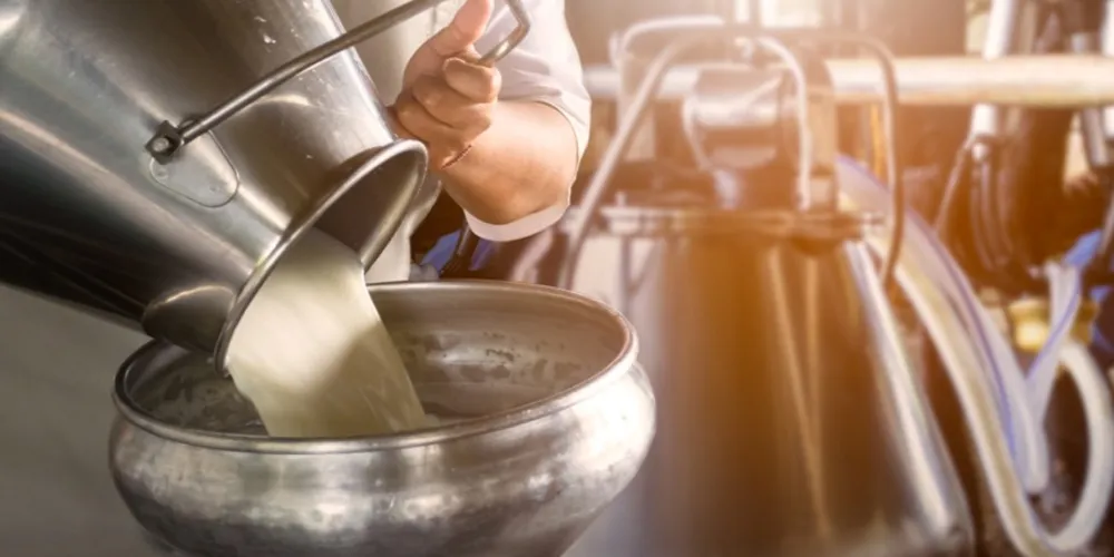 Produtor realizando o escoamento do leite