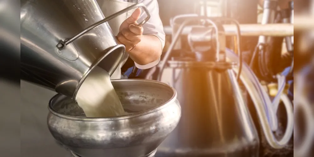 Produtor realizando o escoamento do leite