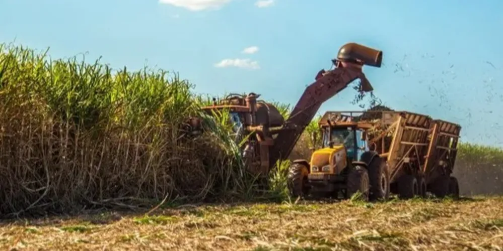 Previsão é de 666,4 milhões de toneladas de cana
