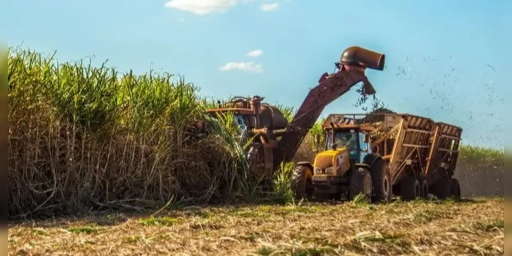 Previsão é de 666,4 milhões de toneladas de cana