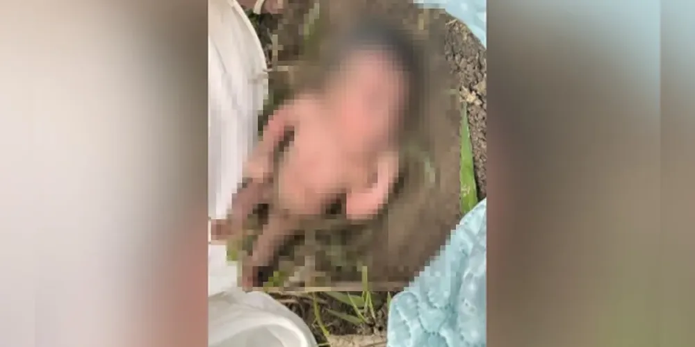 Recém-nascida encontrada na zona rural