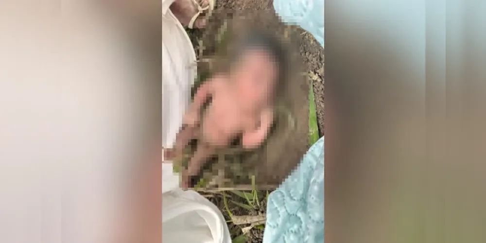 Recém-nascida encontrada na zona rural