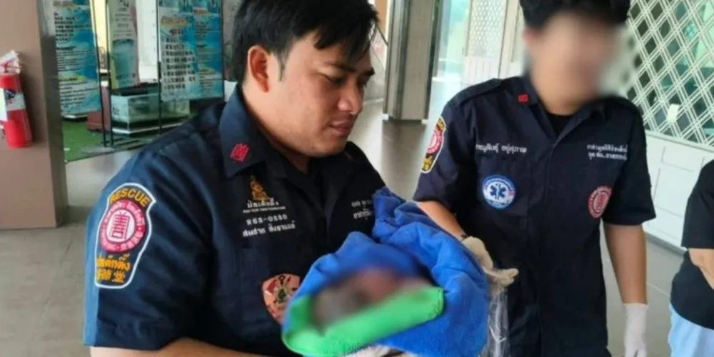 Socorristas encaminharam a vítima à unidade hospitalar