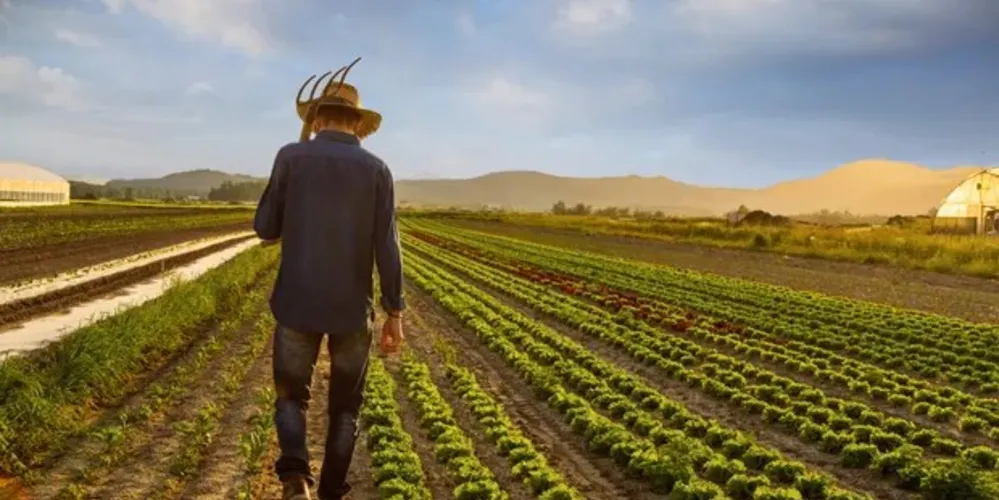 Com alta dos juros dívida no campo se agrava