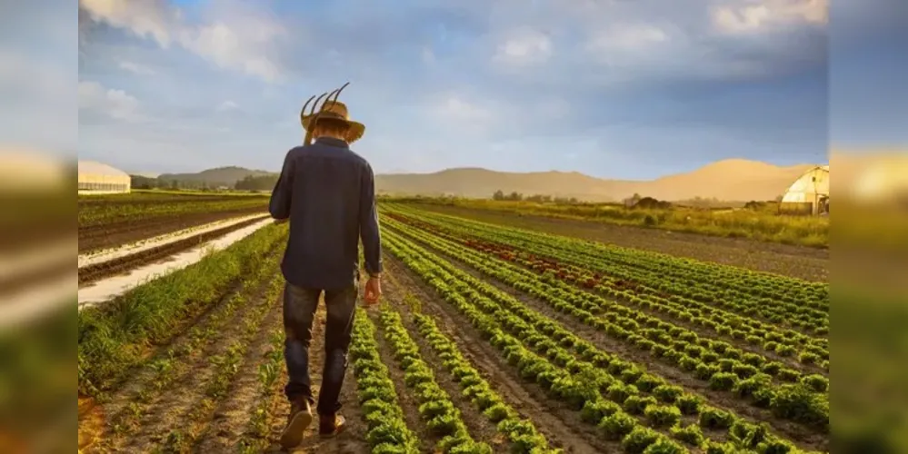 Com alta dos juros dívida no campo se agrava