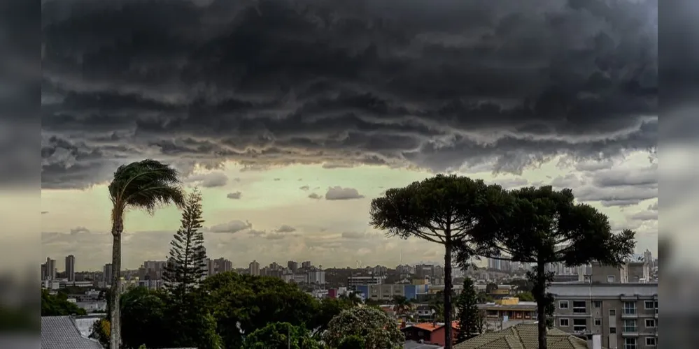 Em caso de rajadas de vento, não se abrigue debaixo de árvores