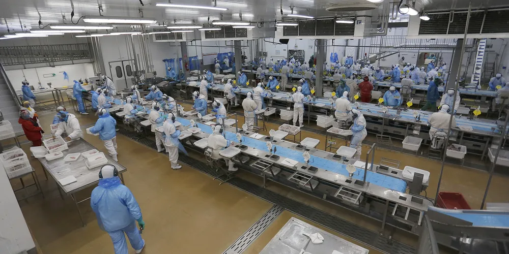 Agências do Trabalhador do Paraná têm 26,4 mil vagas disponíveis