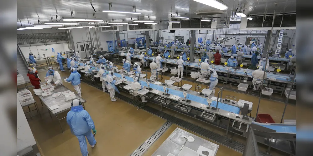 Agências do Trabalhador do Paraná têm 26,4 mil vagas disponíveis