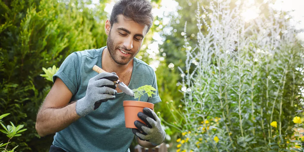 Entre as oportunidades, está a de jardineiro