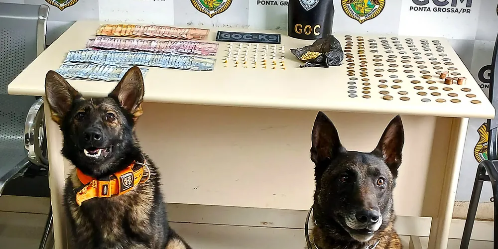 Ação também teve o apoio da 'Pandora', cadela da GCM