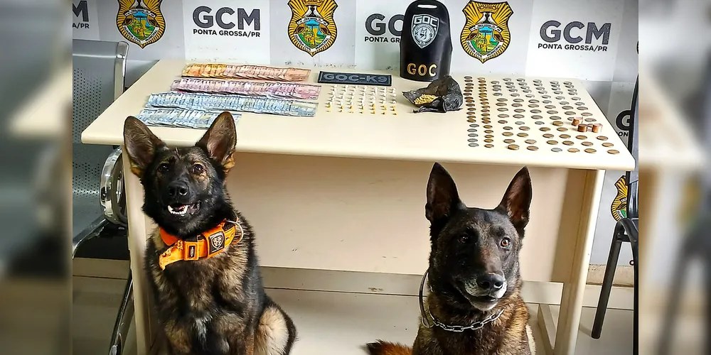 Ação também teve o apoio da 'Pandora', cadela da GCM
