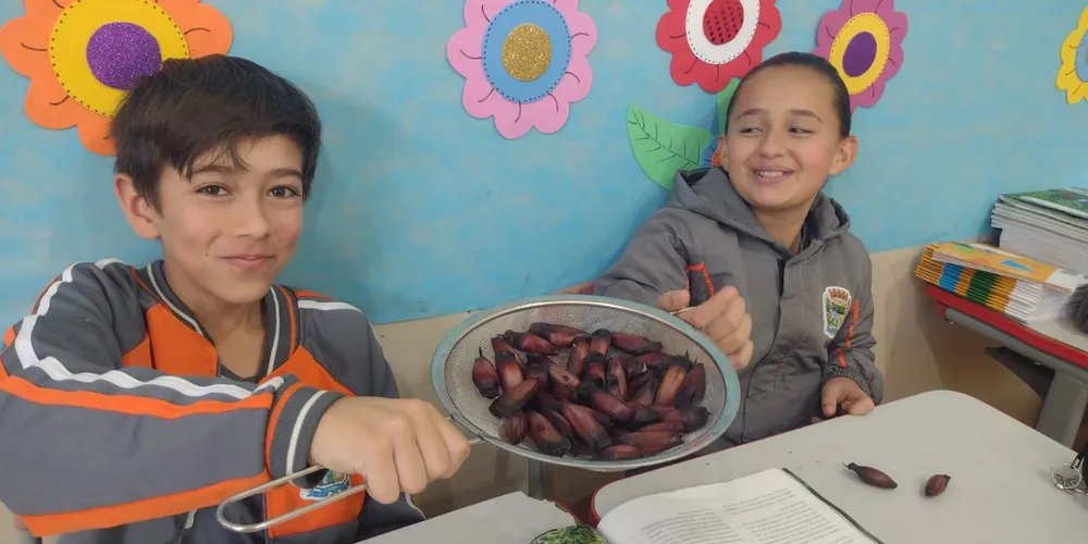 Ao longo das aulas, os estudantes estudaram sobre a origem do pinhão, além de cozinhá-lo e fazer a degustação em sala