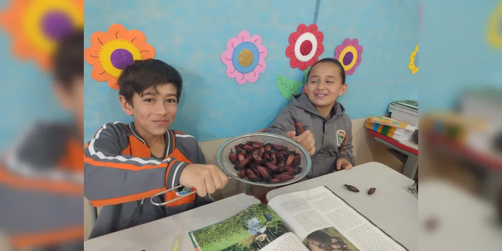 Ao longo das aulas, os estudantes estudaram sobre a origem do pinhão, além de cozinhá-lo e fazer a degustação em sala