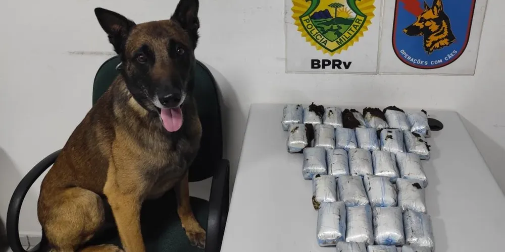 A ação ocorreu por volta da 1h35, durante uma operação com foco em crimes nas rodovias estaduais