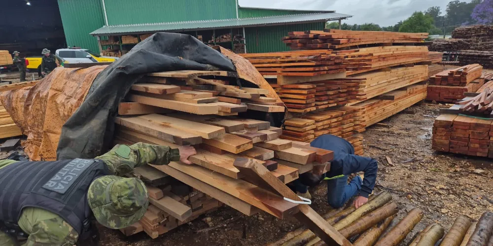 Fiscalização identificou a comercialização e o recebimento de produtos florestais sem o Documento de Origem Florestal