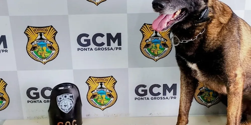 Entorpecentes foram encontrados no estabelecimento pelo cão farejador